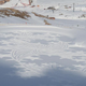 Illustration for article titled Art Thats Made with Snow and Ice